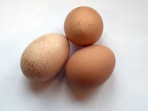 Los tres huevos